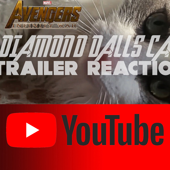 Avengers Infinity War Trailer Cat  Reaction
